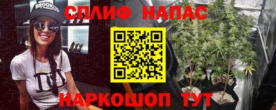 герыч Гагарин
