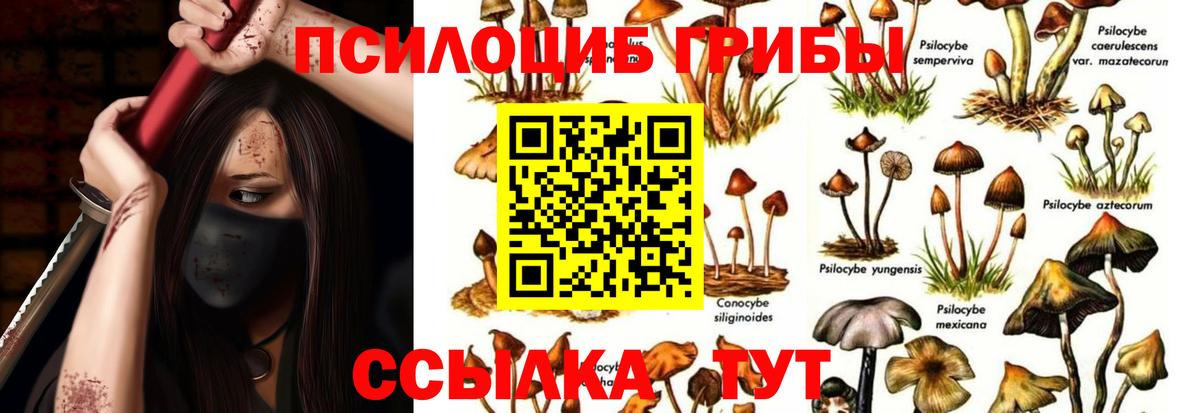 Орехово-Зуево  Псилоцибиновые грибы Cubensis  Вход с VPN  Галлюциногенные грибы Cubensis 