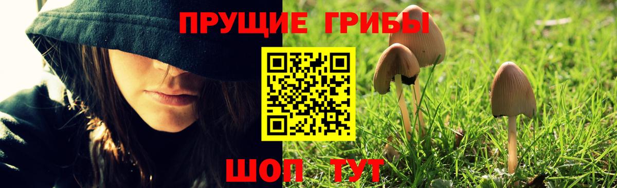 Псилоцибиновые грибы ЛСД Орехово-Зуево